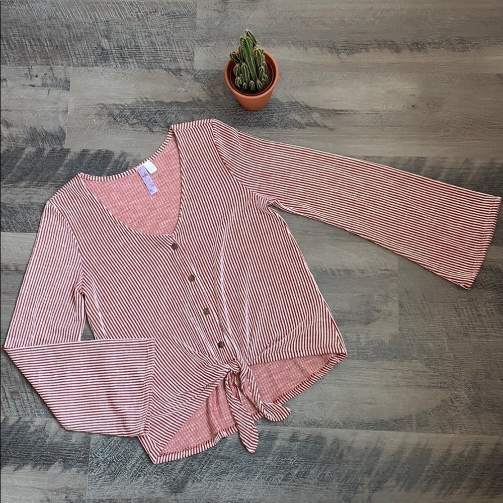 🌵Rust Pinstripe Tie-Waist Bell Sleeve Crop Top